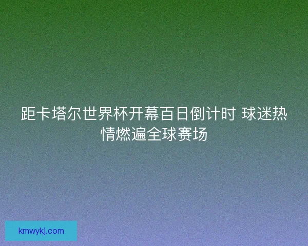距卡塔尔世界杯开幕百日倒计时 球迷热情燃遍全球赛场