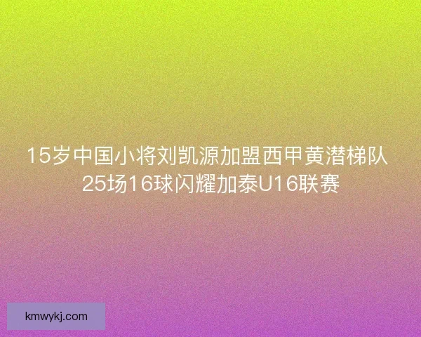 15岁中国小将刘凯源加盟西甲黄潜梯队 25场16球闪耀加泰U16联赛