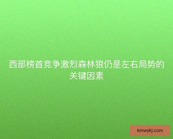 西部榜首竞争激烈森林狼仍是左右局势的关键因素 西部榜首竞争激烈森林狼仍是左右局势的关键因素