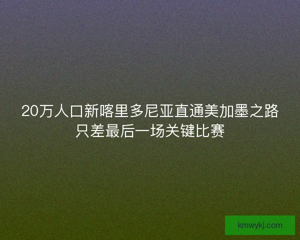20万人口新喀里多尼亚直通美加墨之路只差最后一场关键比赛